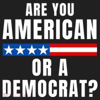 Are You American Or Democrat? Beanie thumb 2