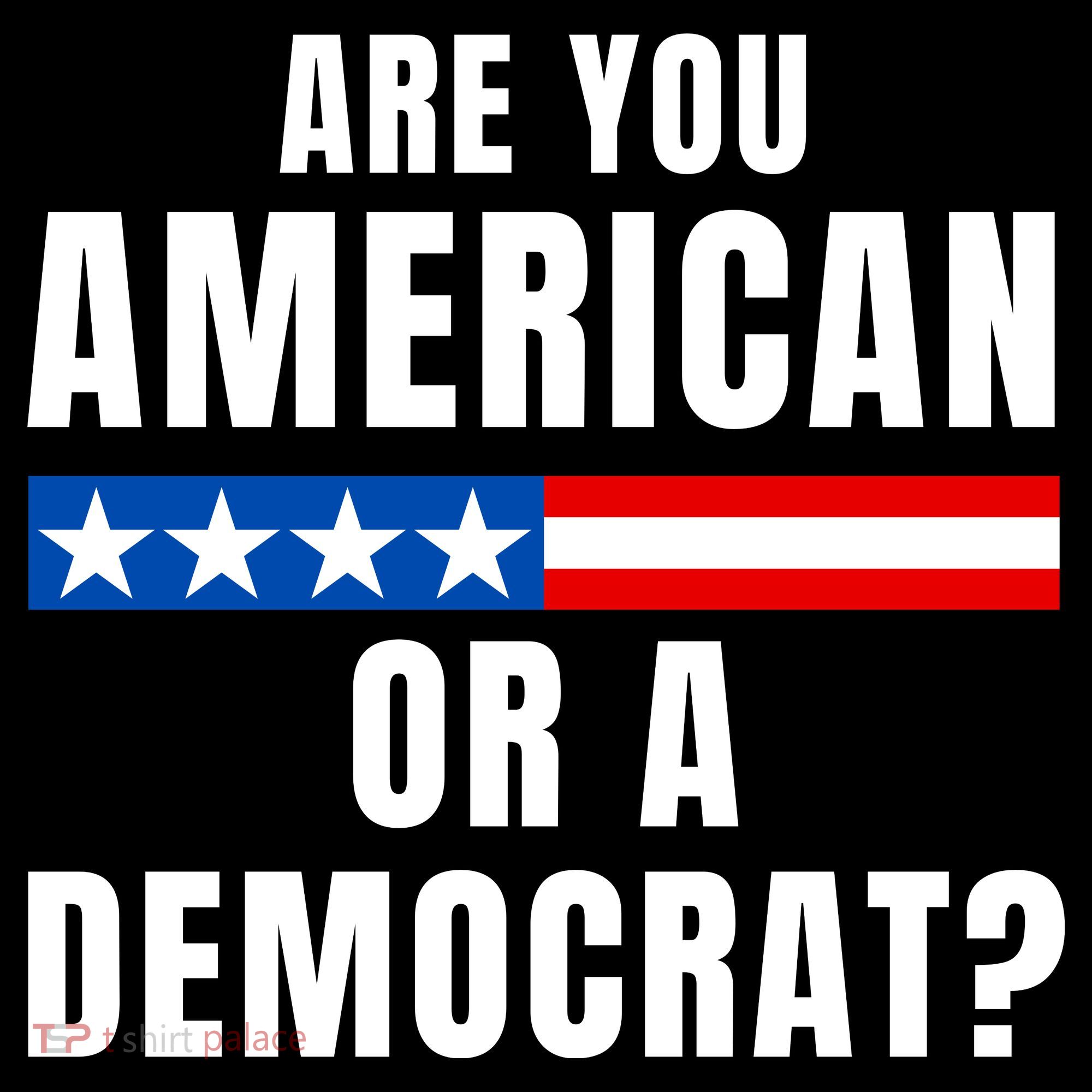 Are You American Or Democrat? Women's Hoodie