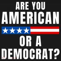 Are You American Or Democrat? Toddler Hoodie thumb 2