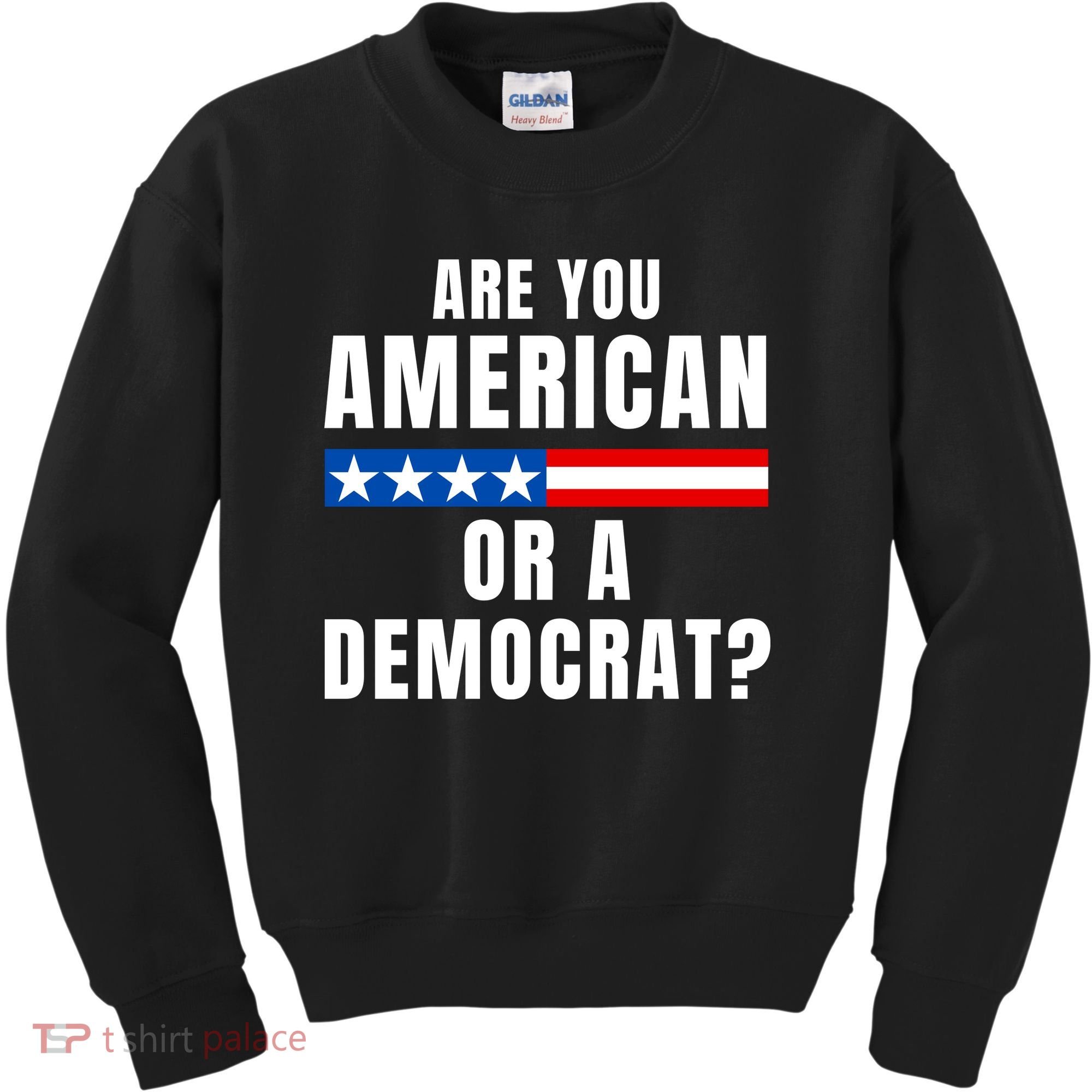 Are You American Or Democrat? Kids Sweatshirt