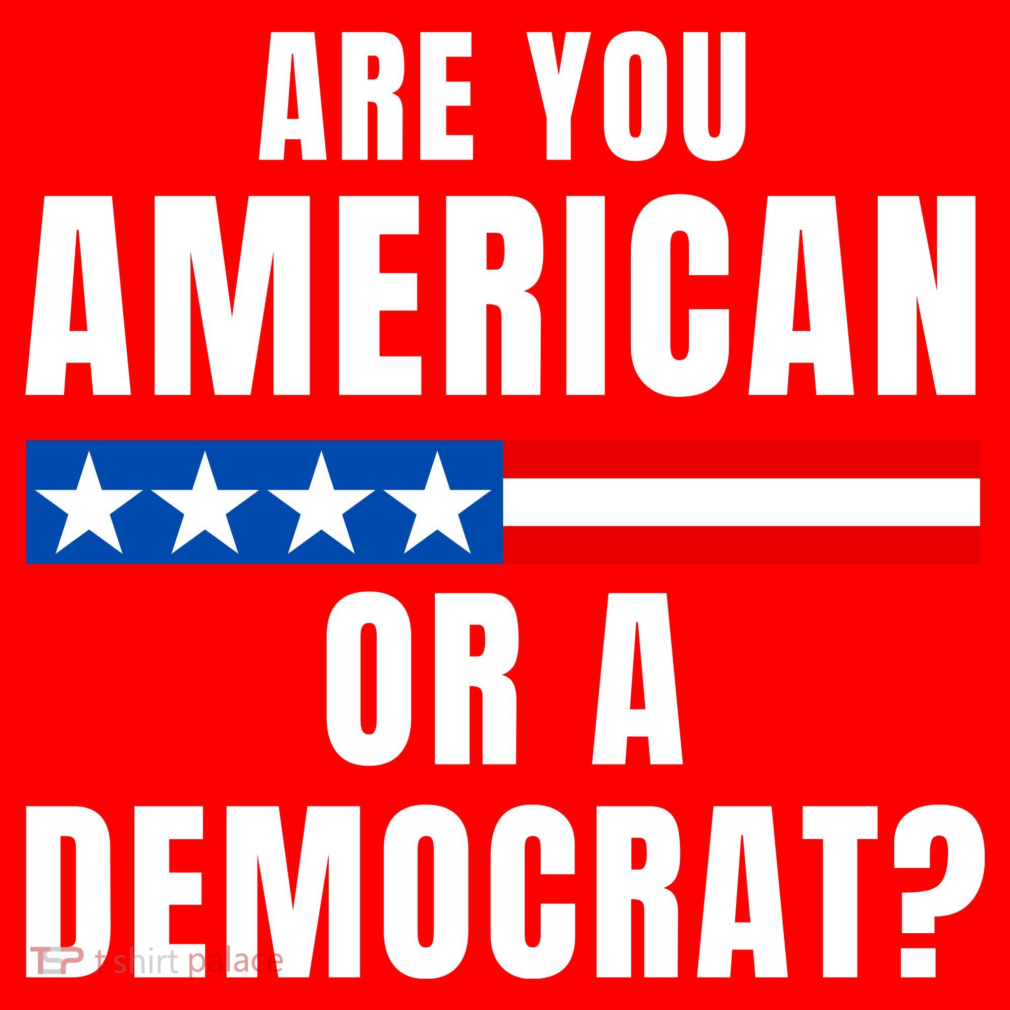 Are You American Or Democrat? Santa Hat
