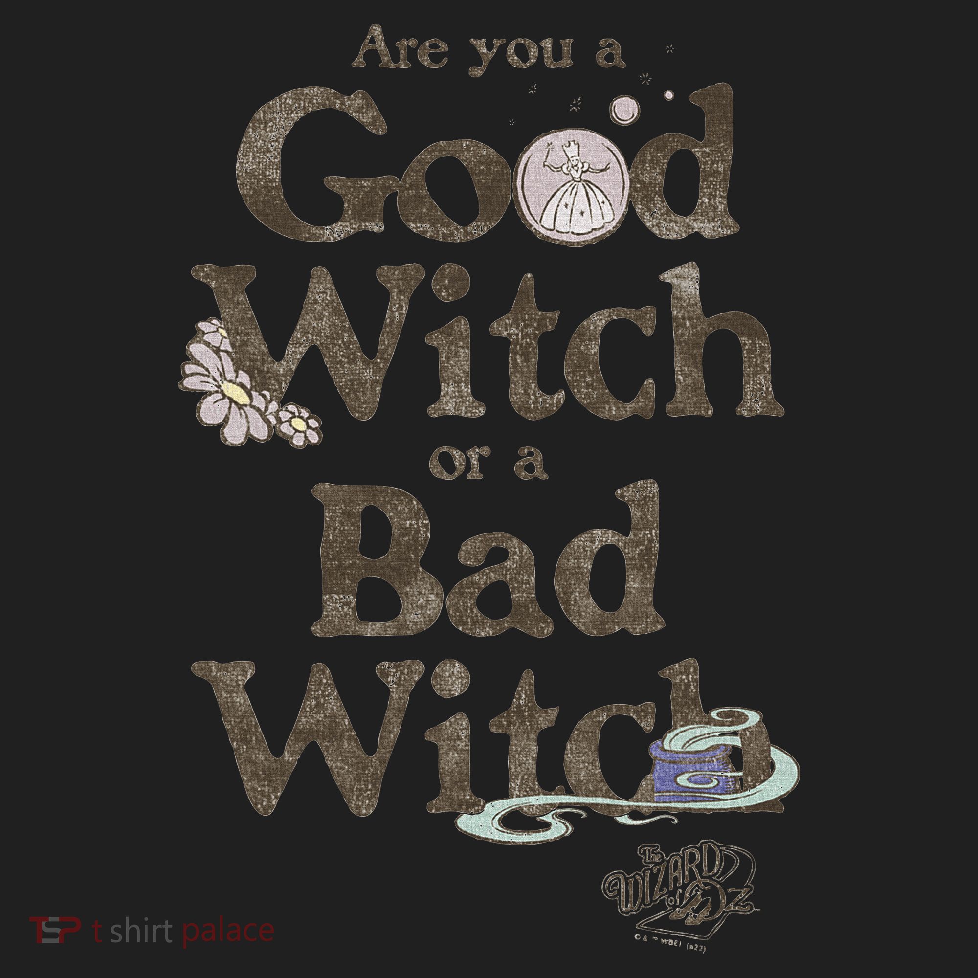 Are You A Good Witch Or Bad Witch Beanie