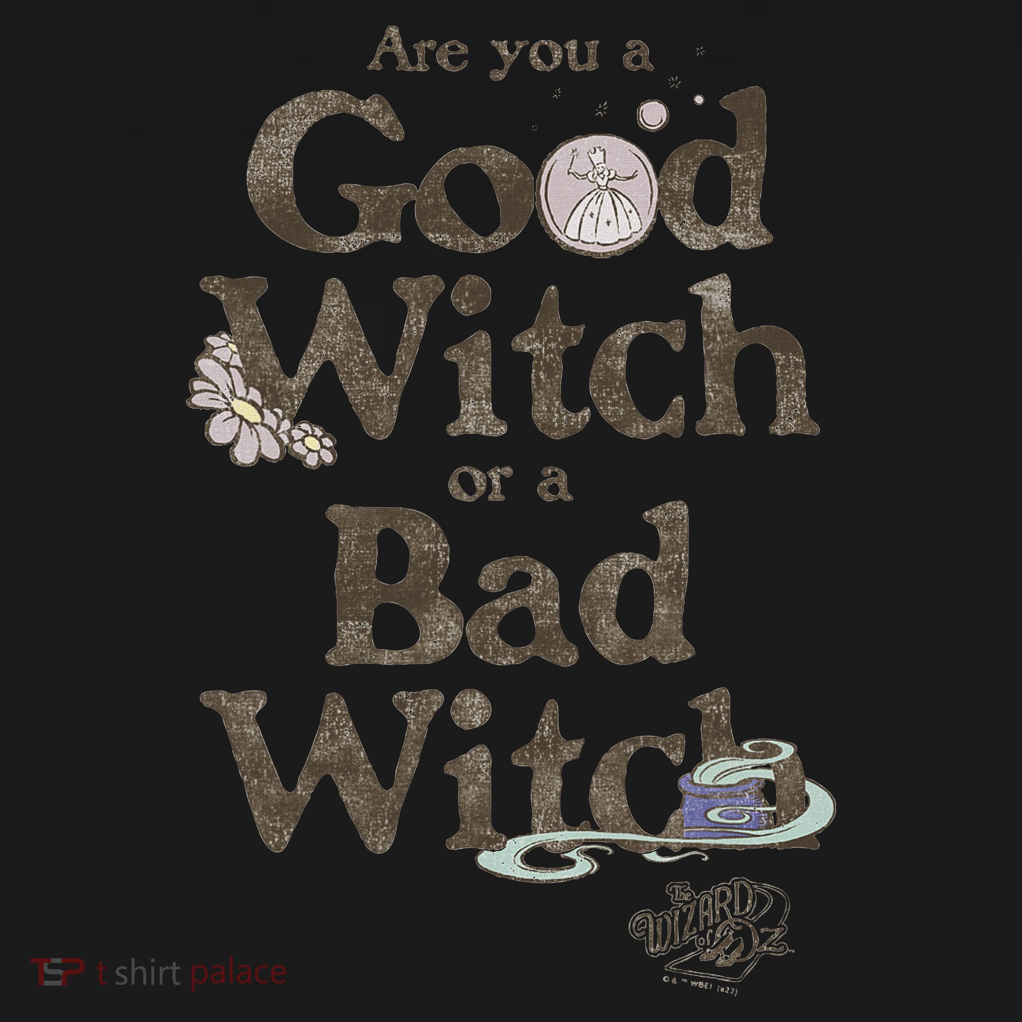 Are You A Good Witch Or Bad Witch Visor