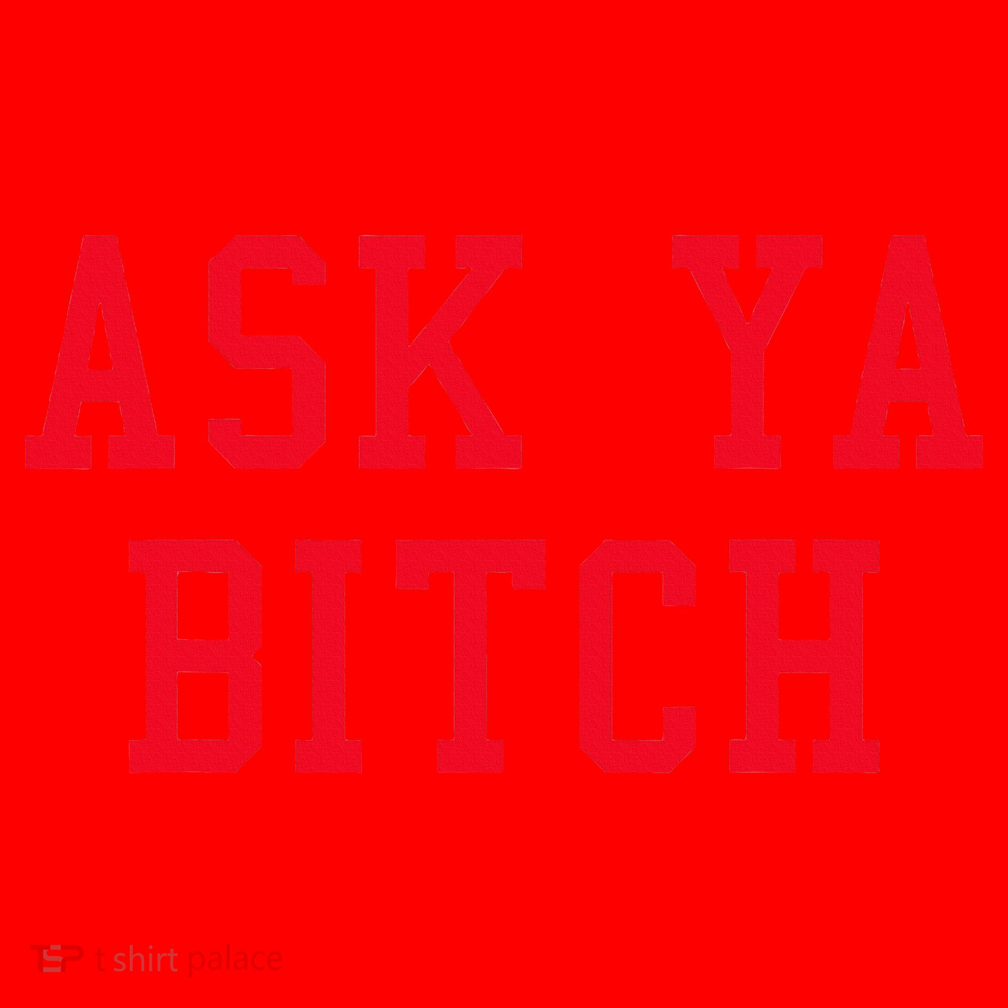 Ask Ya Bitch Funny Sarcastic Santa Hat