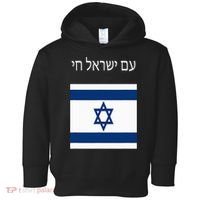 Am Yisrael Chai Hebrew For Israel Lives Toddler Hoodie thumb 0