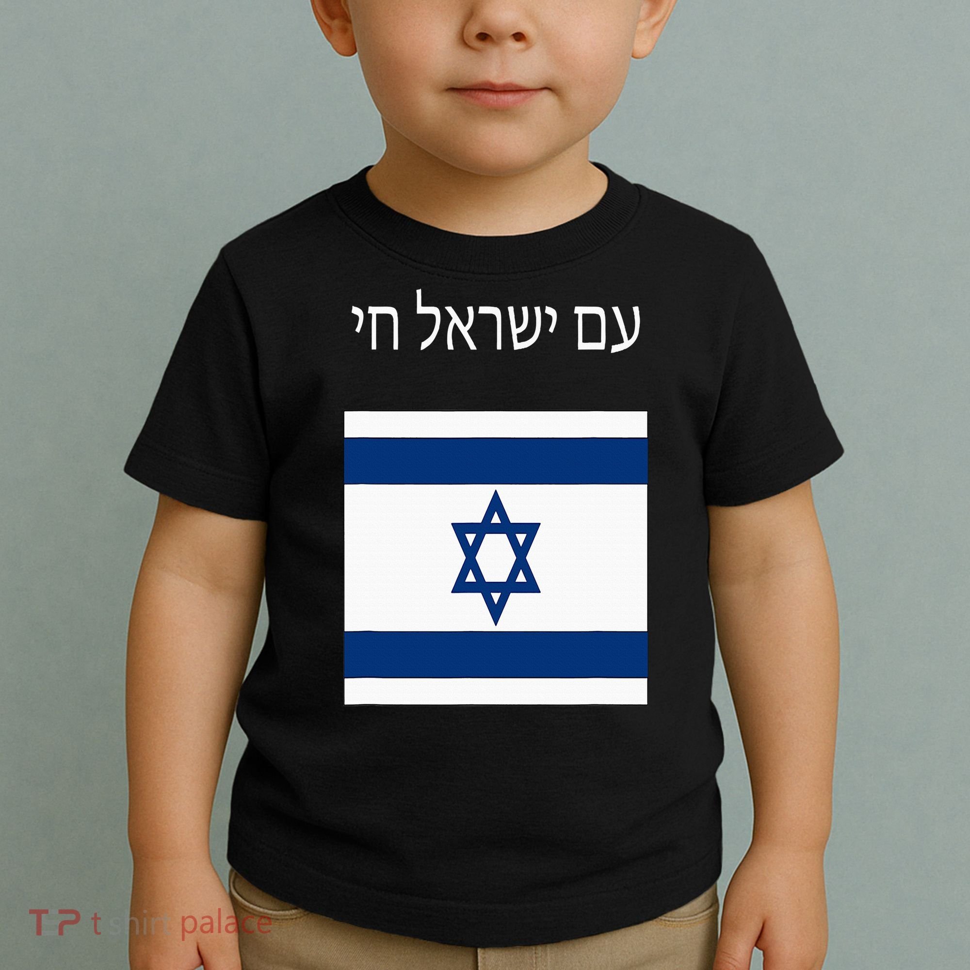 Am Yisrael Chai Hebrew For Israel Lives Toddler T-Shirt