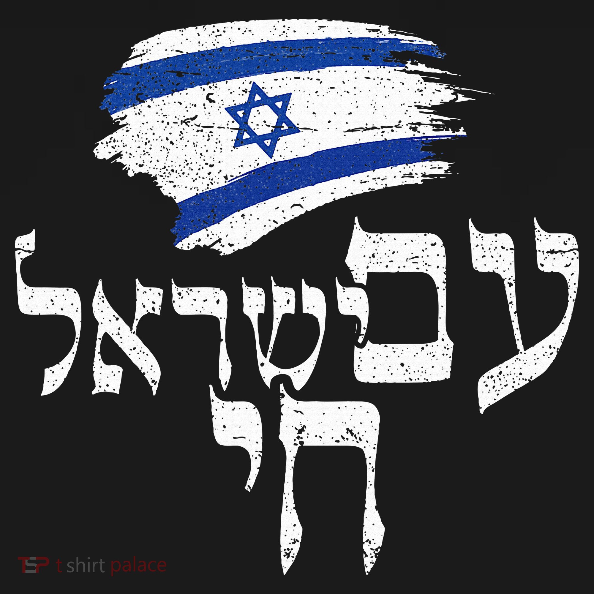 Am Yisrael Chai  Israel Hai Jewish Good Energy Distressed  T-Shirt