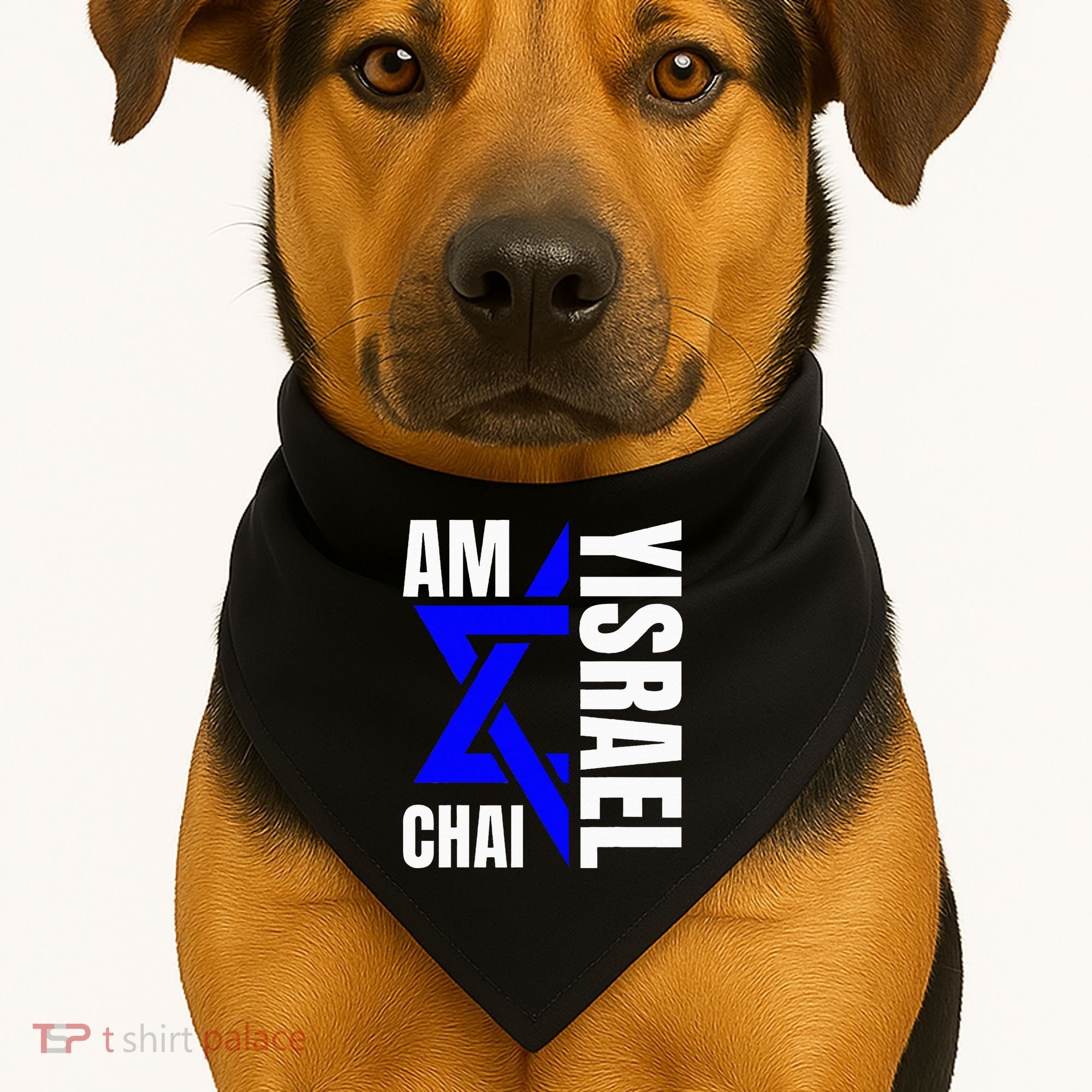 Am Yisrael Chai Israel Star of David USA-Made Doggie Bandana