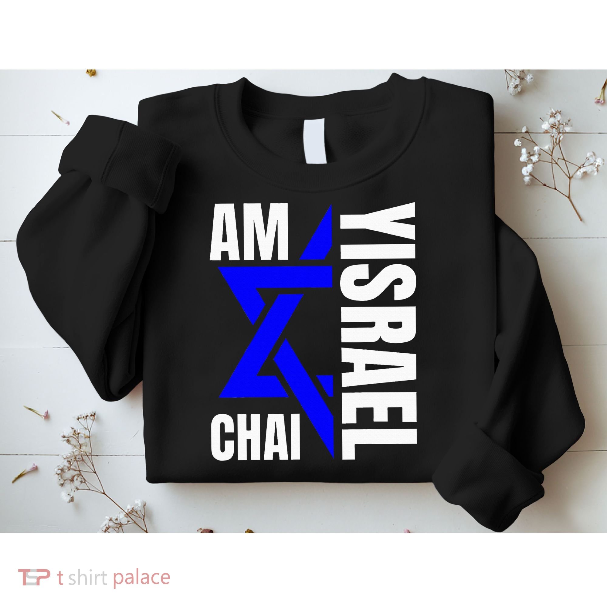 Am Yisrael Chai Israel Star of David Sweatshirt