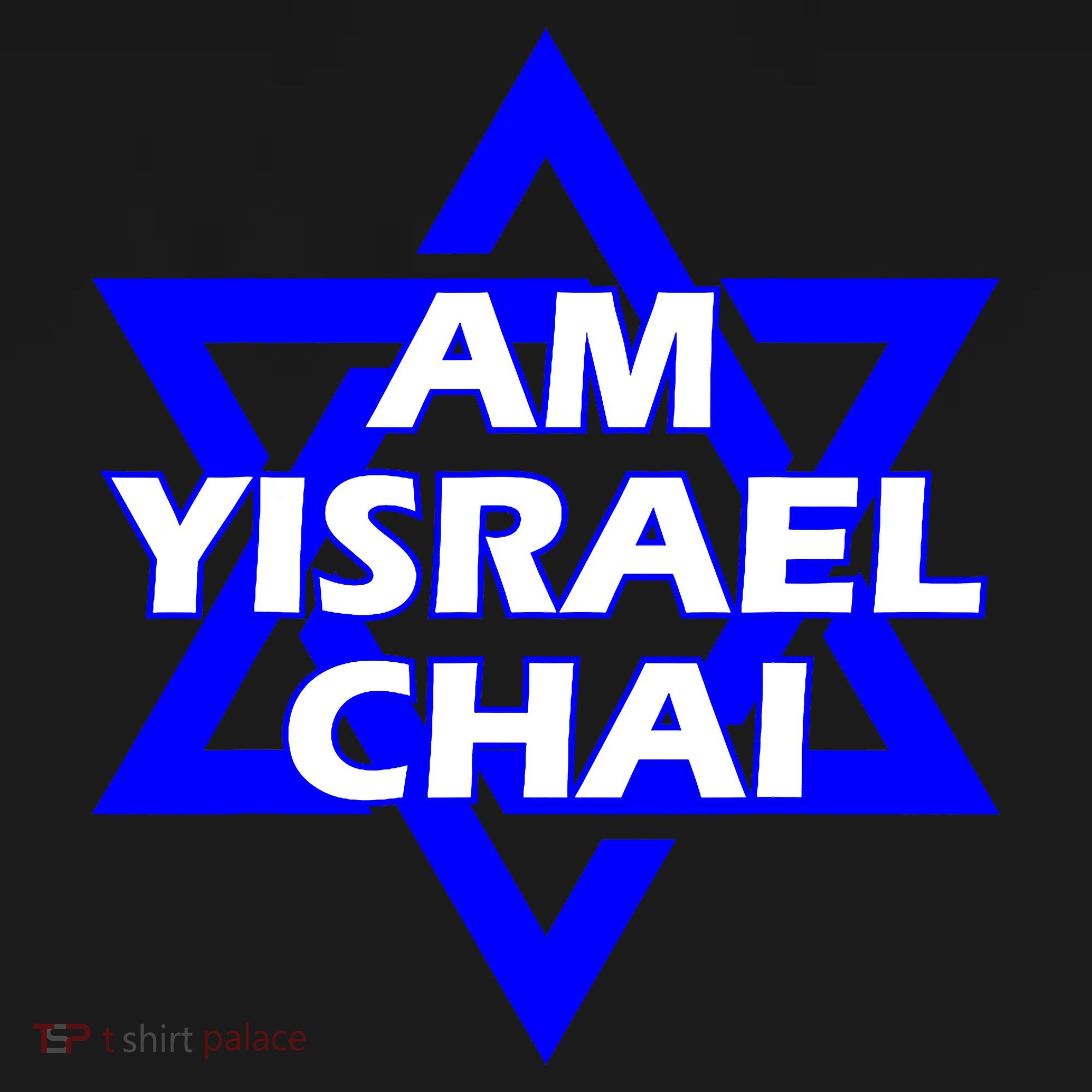 Am Yisrael Chai Israel Star Of David Women's Hoodie