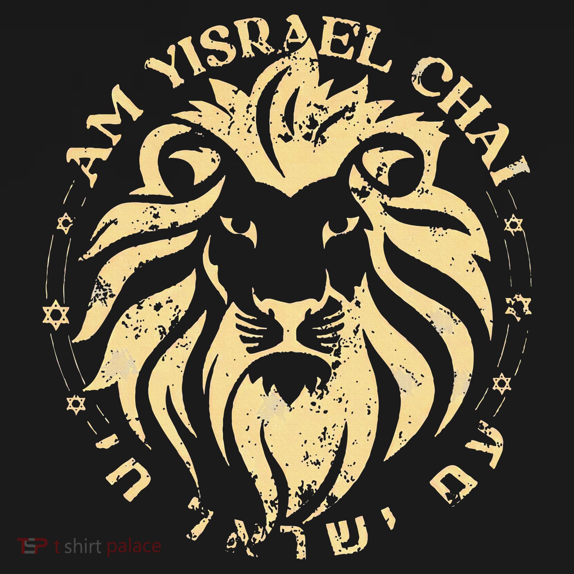 Am Yisrael Chai Lion of Zion Women's Hoodie
