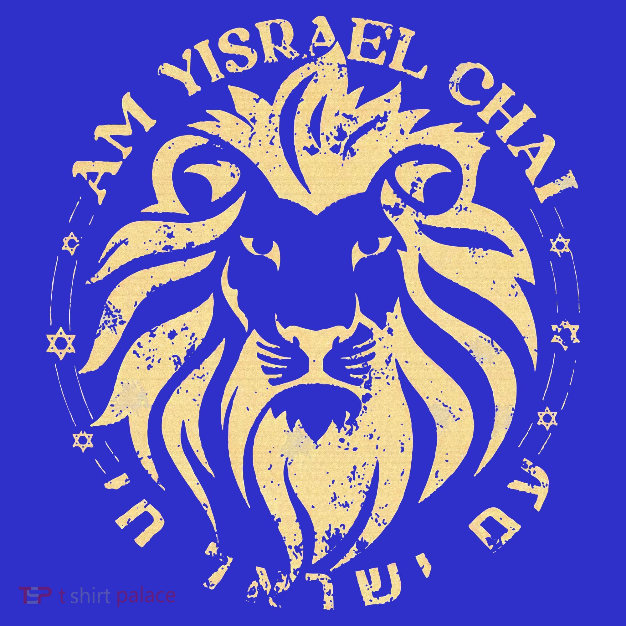 Am Yisrael Chai Lion of Zion Hoodie