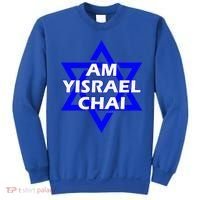 Am Yisrael Chai Israel Star of David Sweatshirt thumb 0