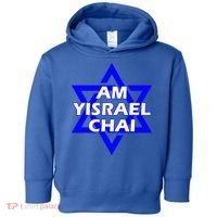 Am Yisrael Chai Israel Star of David Toddler Hoodie thumb 0