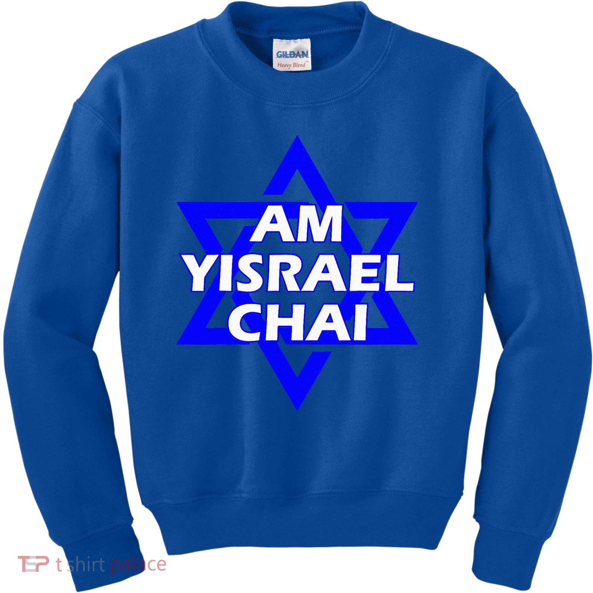Am Yisrael Chai Israel Star of David Kids Sweatshirt