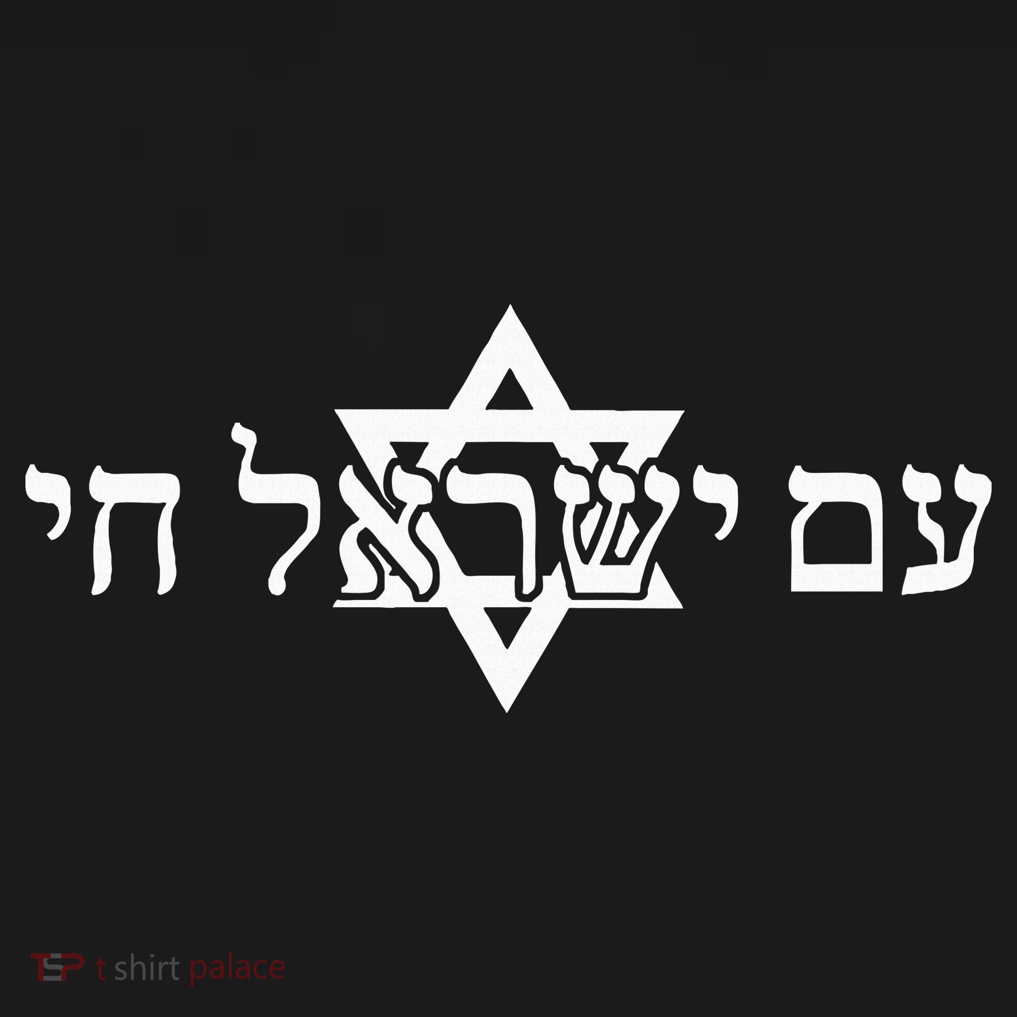 Am Yisrael Chai Star of David support T-Shirt