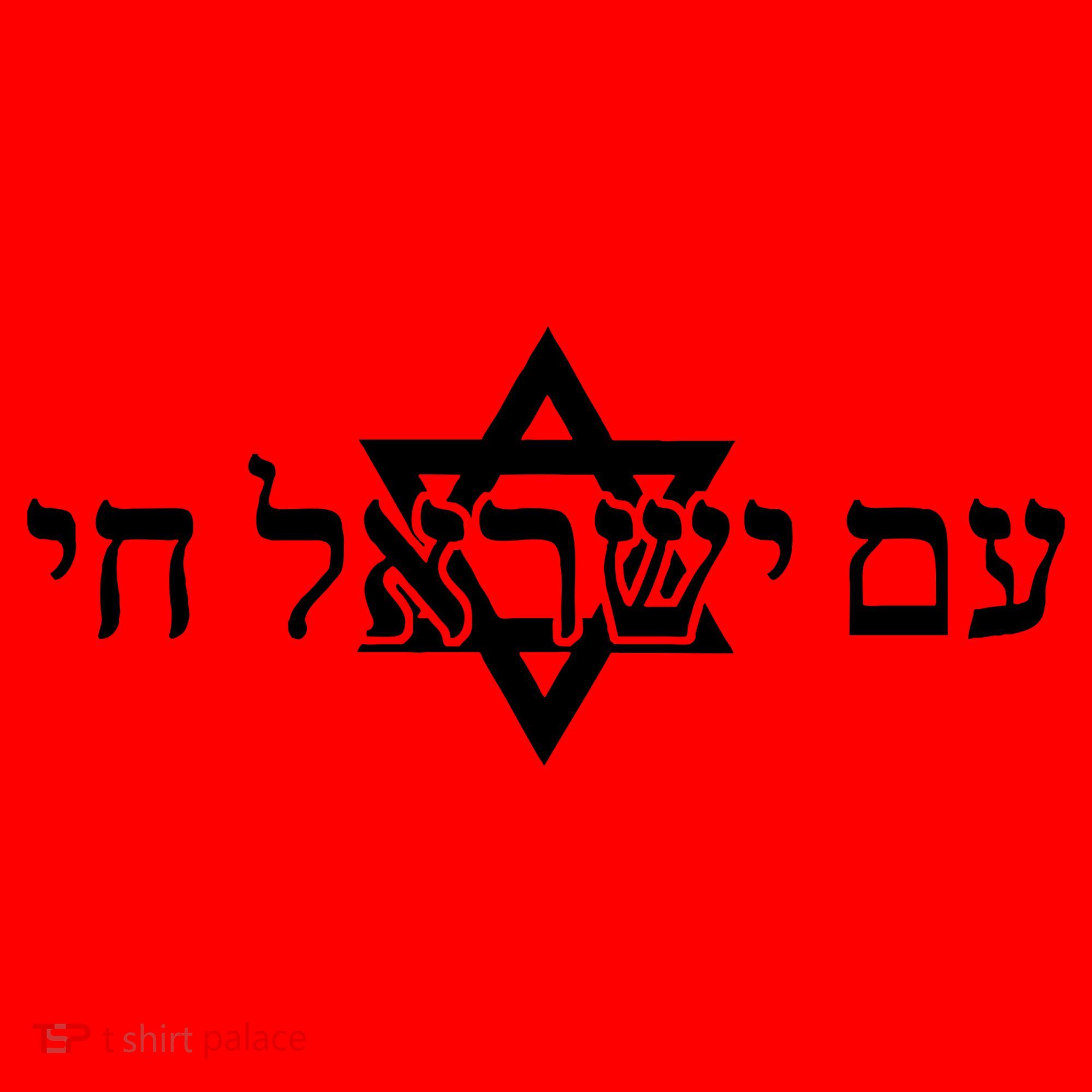 Am Yisrael Chai Star of David support Santa Hat