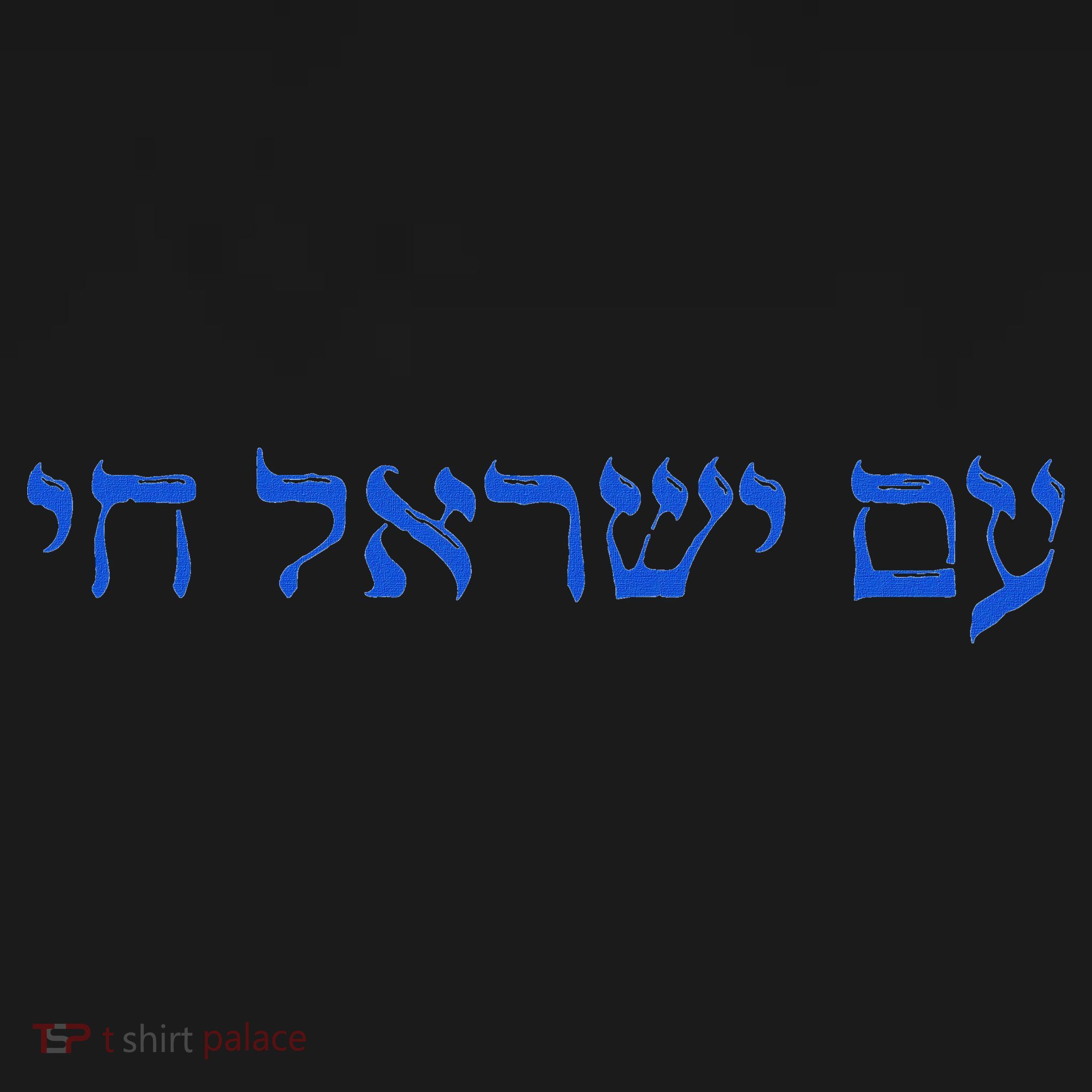 Am Yisrael Chai I Support Israel The People Of Israel Live T-Shirt
