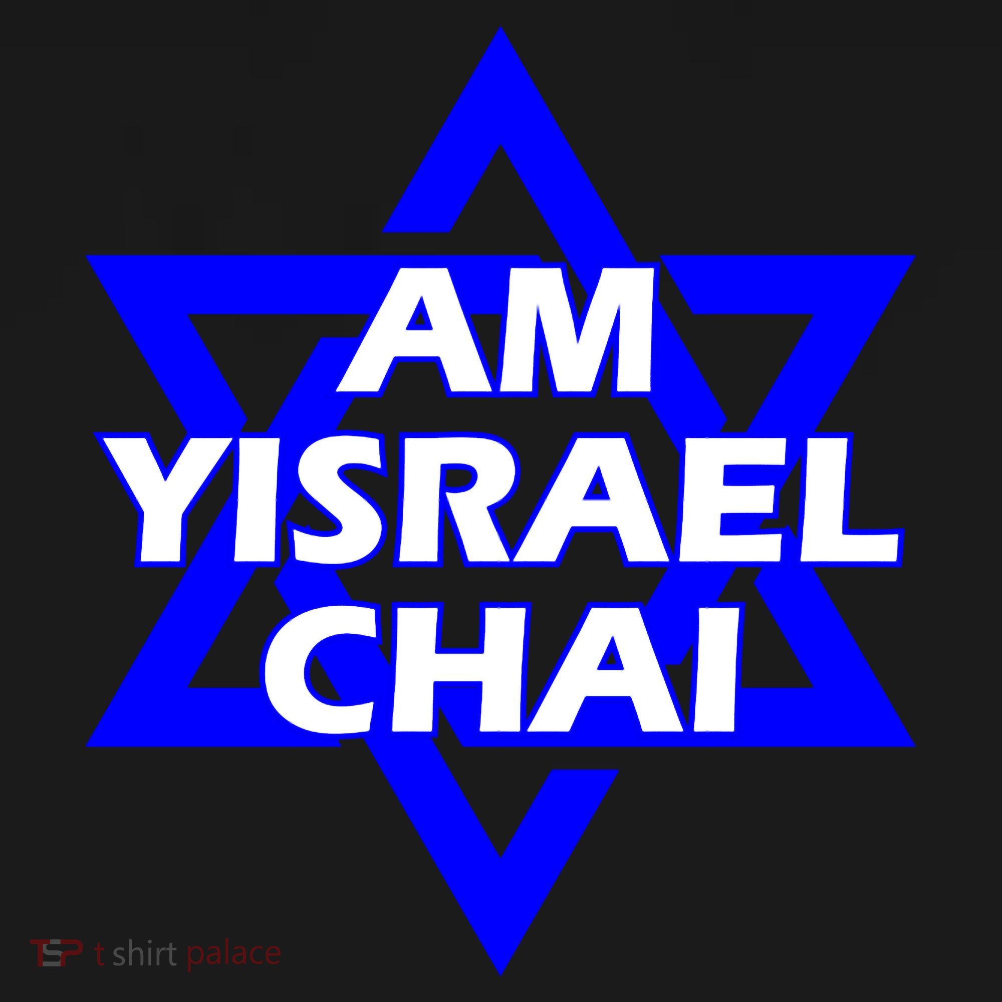 Am Yisrael Chai Israel Star Of David Israel Sweatshirt