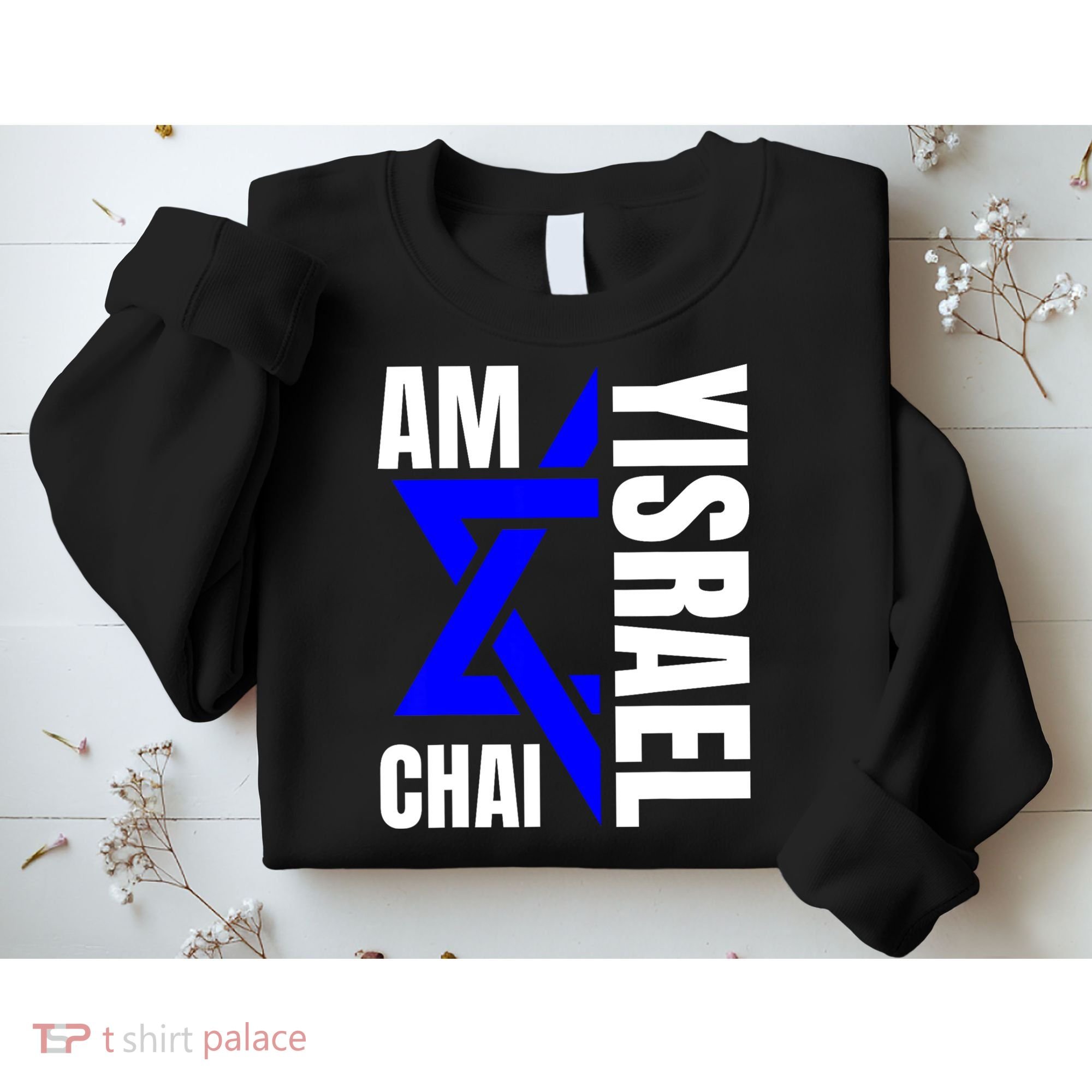 Am Yisrael Chai Israel Star Of David Sweatshirt