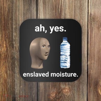 Ah Yes Enslaved Moisture Funny Dank Meme Coaster