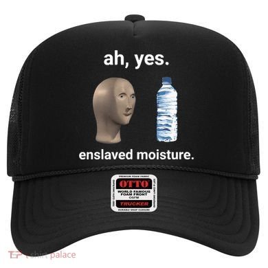 Ah Yes Enslaved Moisture Funny Dank Meme Hat