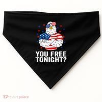 Are You Free Tonight 4th Of July Independence Day Bald Eagle USA-Made Doggie Bandana thumb 0