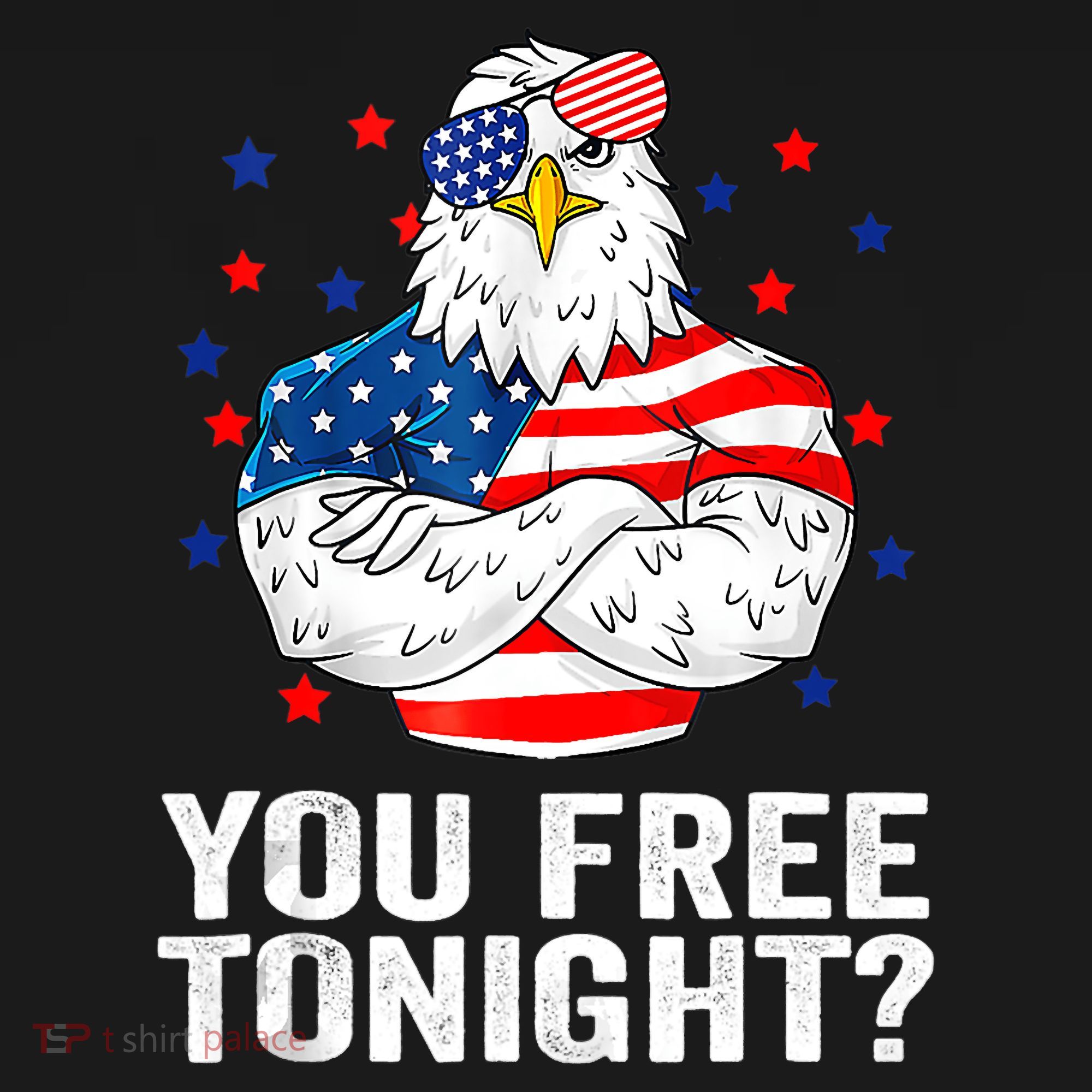 Are You Free Tonight 4th Of July Independence Day Bald Eagle Women's Hoodie