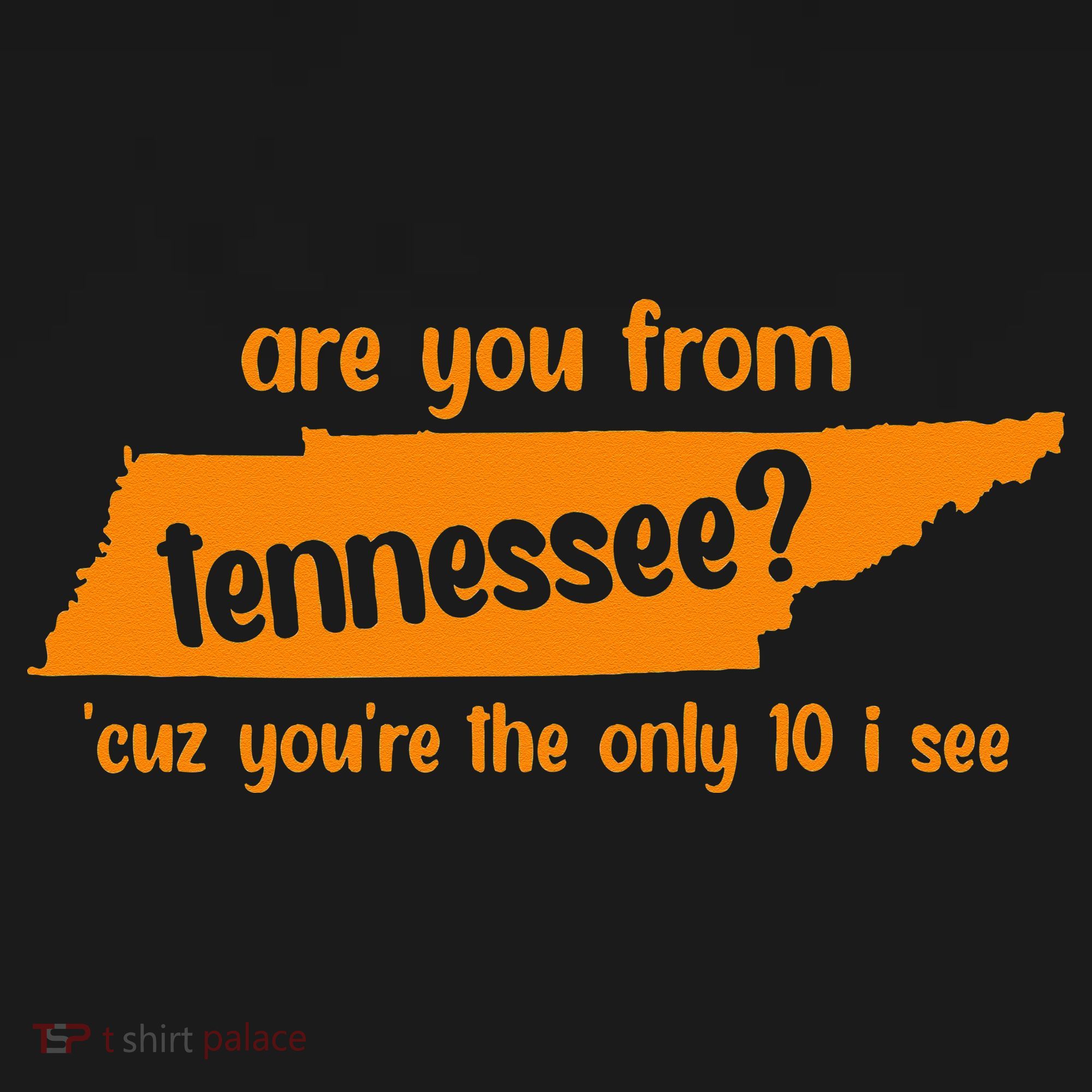 Are You From Tennessee Because Youre The Only Ten I See Women's Hoodie