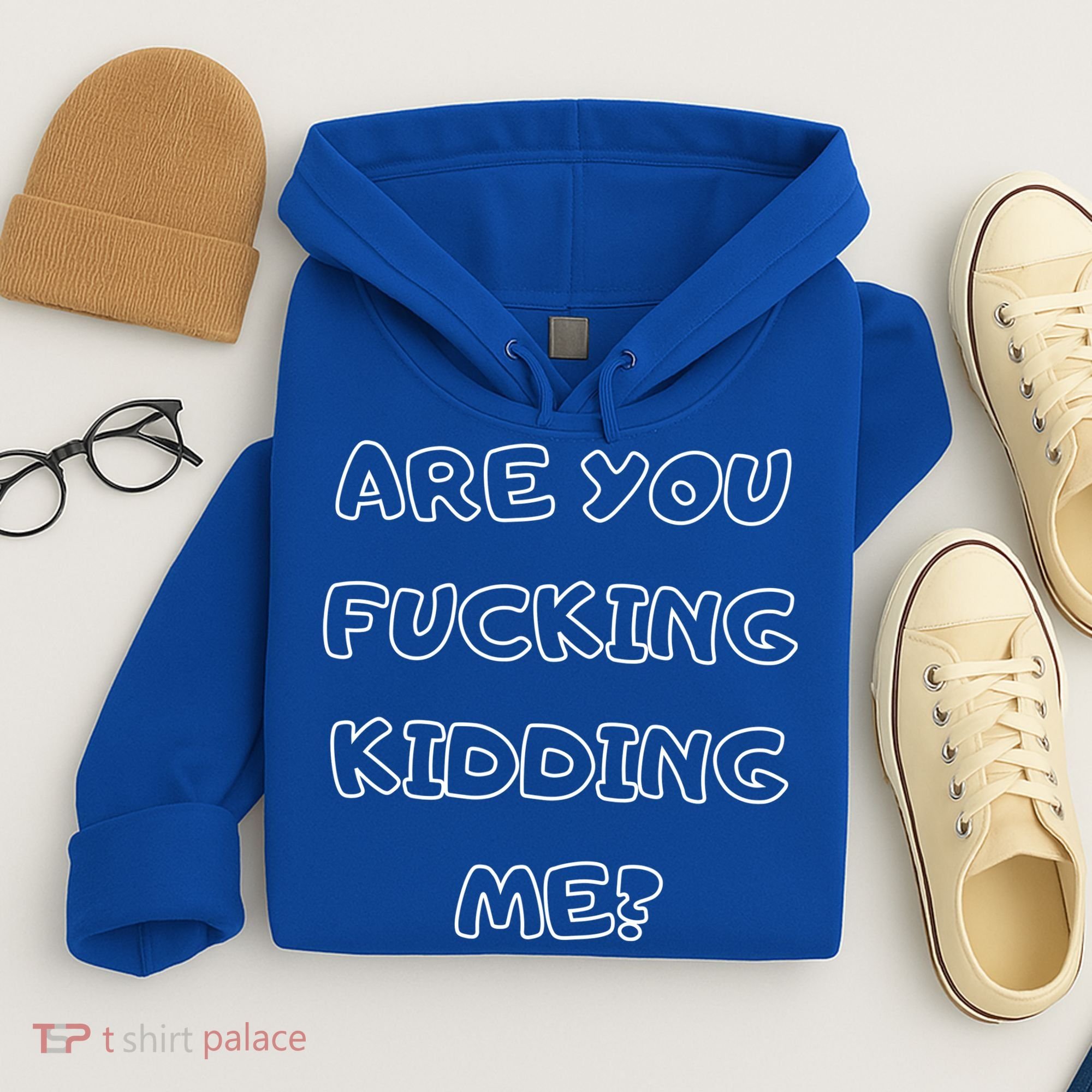 Are You Fucking Kidding Me? Hoodie