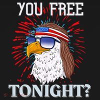 Are You Free Tonight 4th Of July Retro American Bald Eagle Gift Women's Hoodie thumb 2