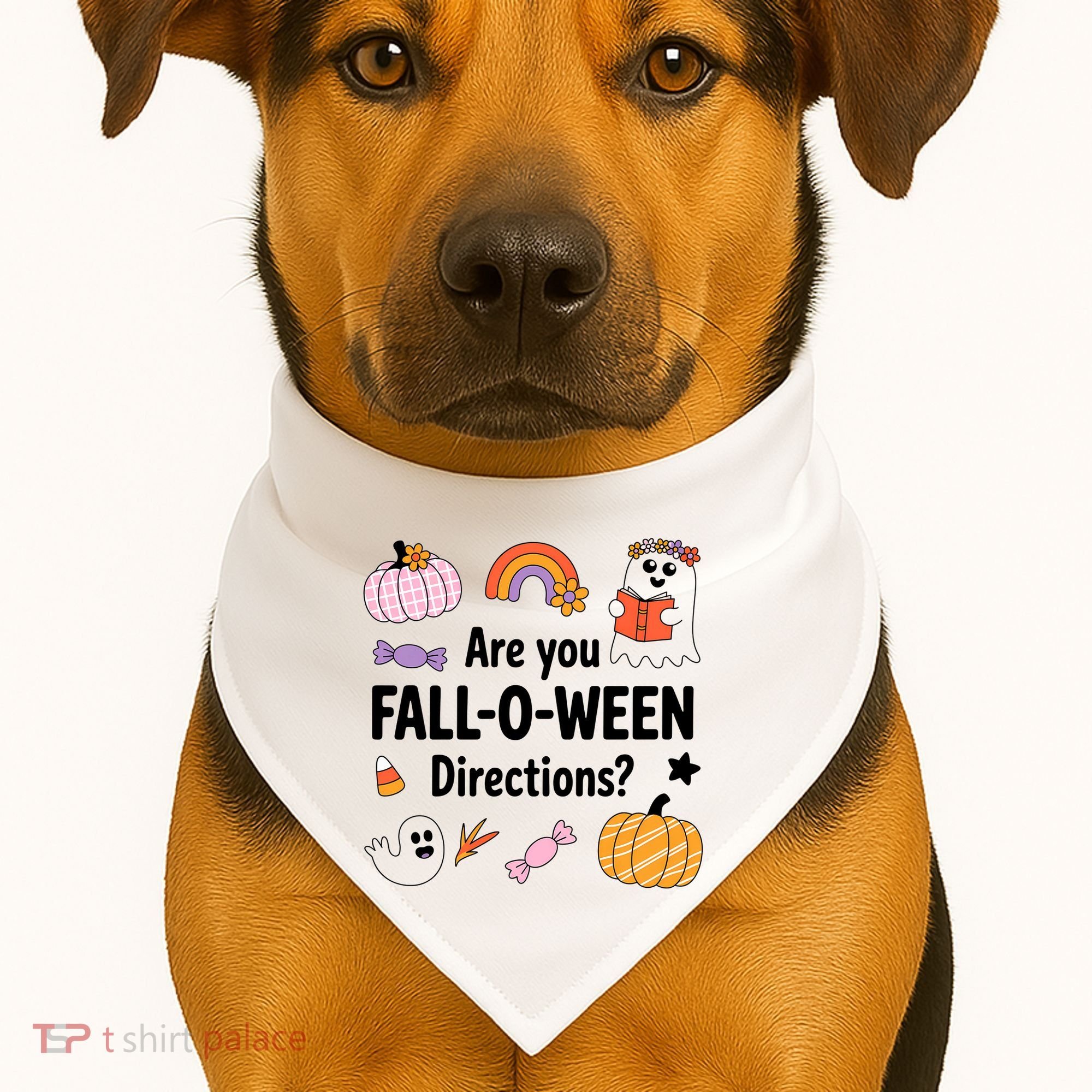 Are You Fall O Ween Directions Teacher Halloween Ghost USA-Made Doggie Bandana