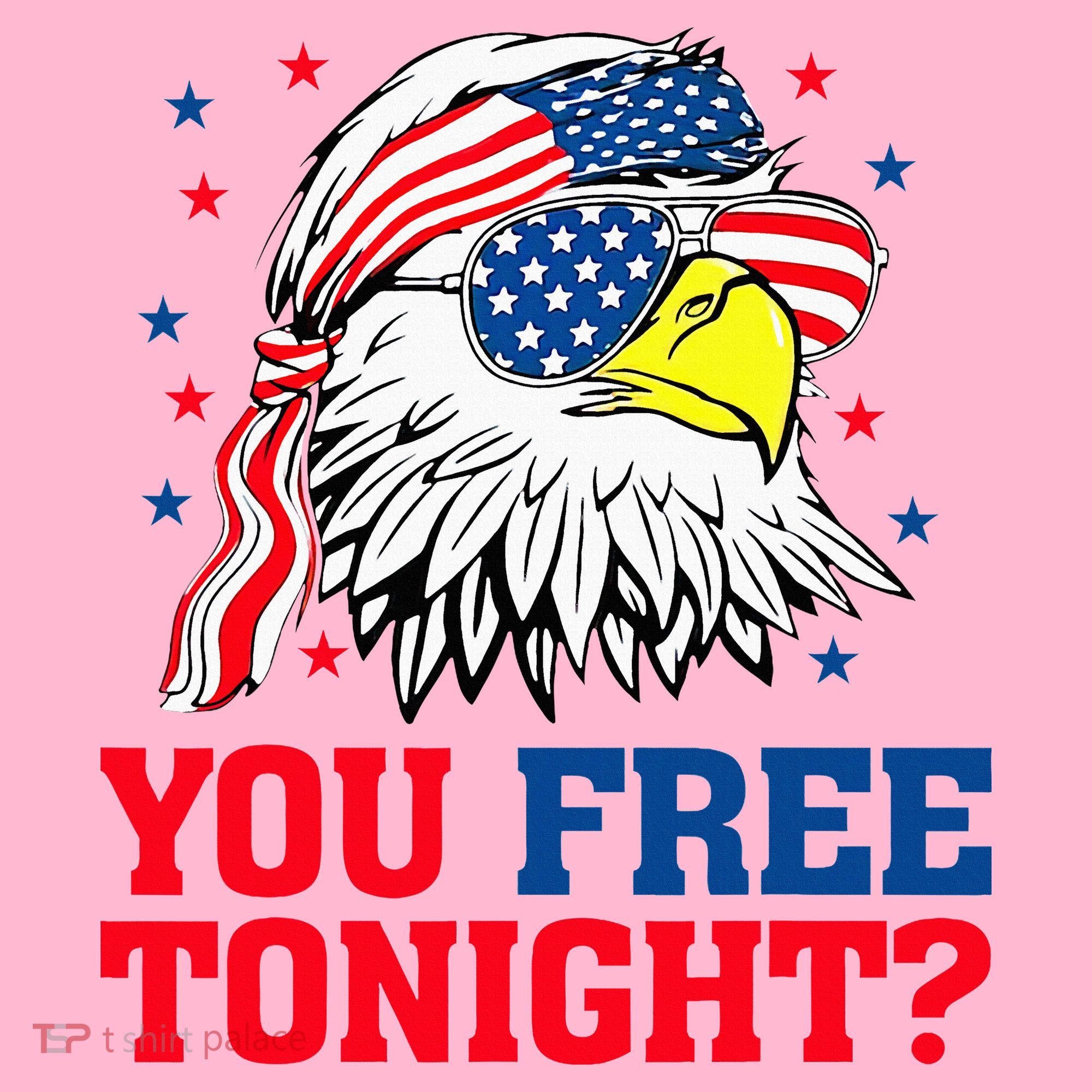 Are You Free Tonight 4th Of July Independence Day Bald Eagle Coaster