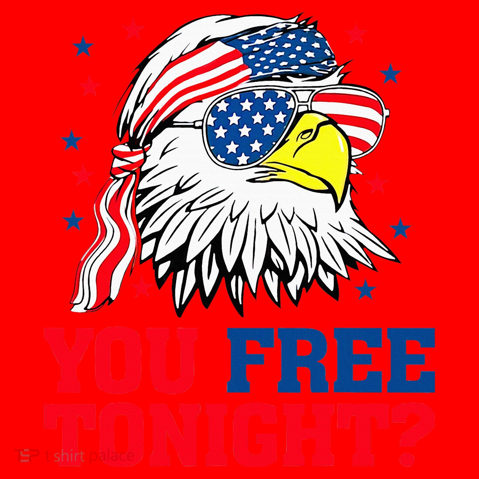 Are You Free Tonight 4th Of July Independence Day Bald Eagle Santa Hat