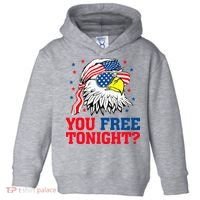 Are You Free Tonight 4th Of July Independence Day Bald Eagle Toddler Hoodie thumb 0