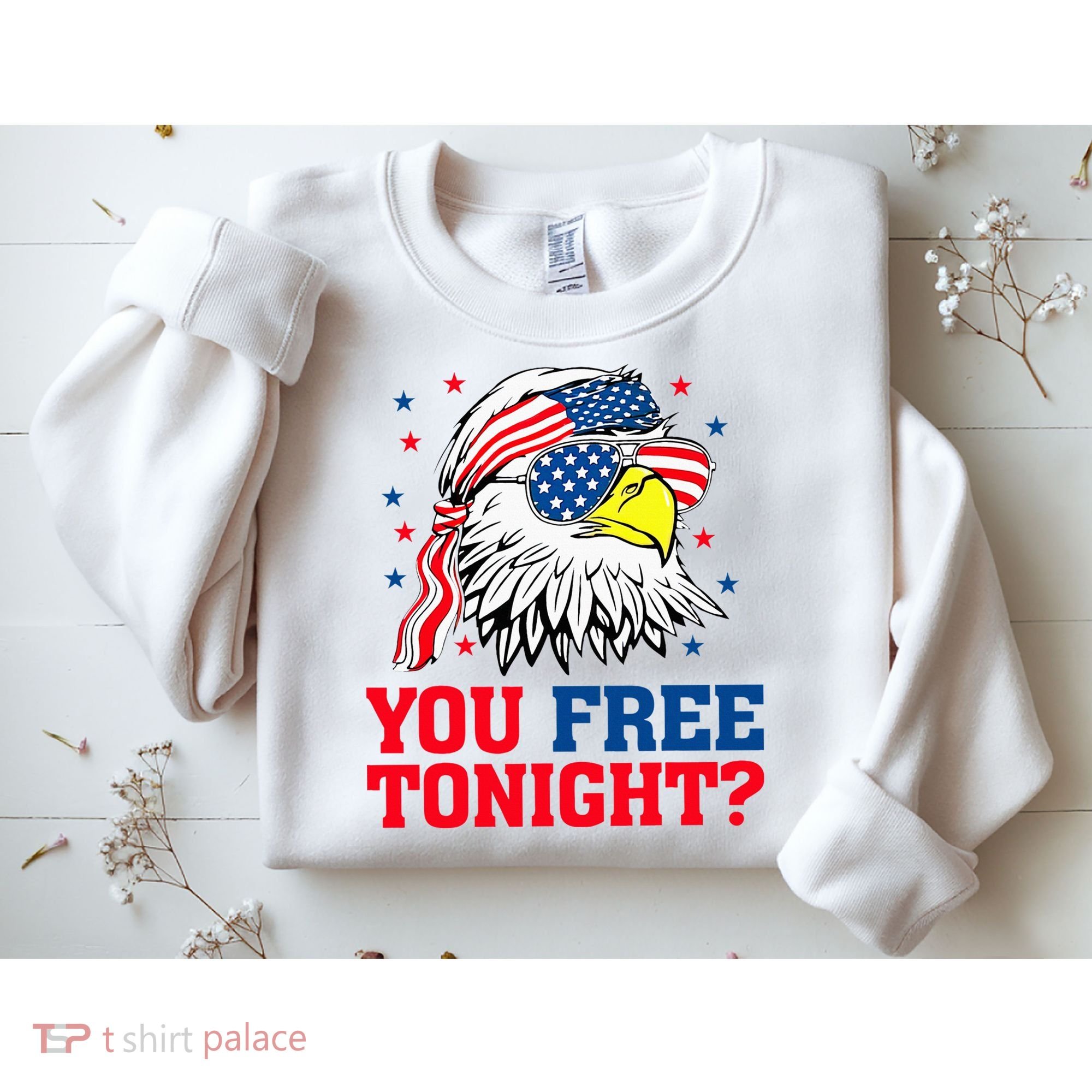 Are You Free Tonight 4th Of July Independence Day Bald Eagle Sweatshirt