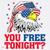 Are You Free Tonight 4th Of July Independence Day Bald Eagle Women's T-Shirt thumb 6