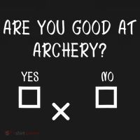 Are You Good At Archery Yes No Cute Gift Archery Joke Gift Ornament thumb 1
