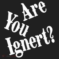 Are You Ignert Funny Humor Saying Sarcastic Jokes Beanie thumb 2