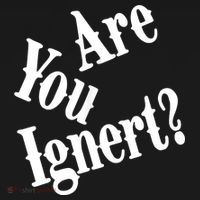 Are You Ignert Funny Humor Saying Sarcastic Jokes Women's Hoodie thumb 2