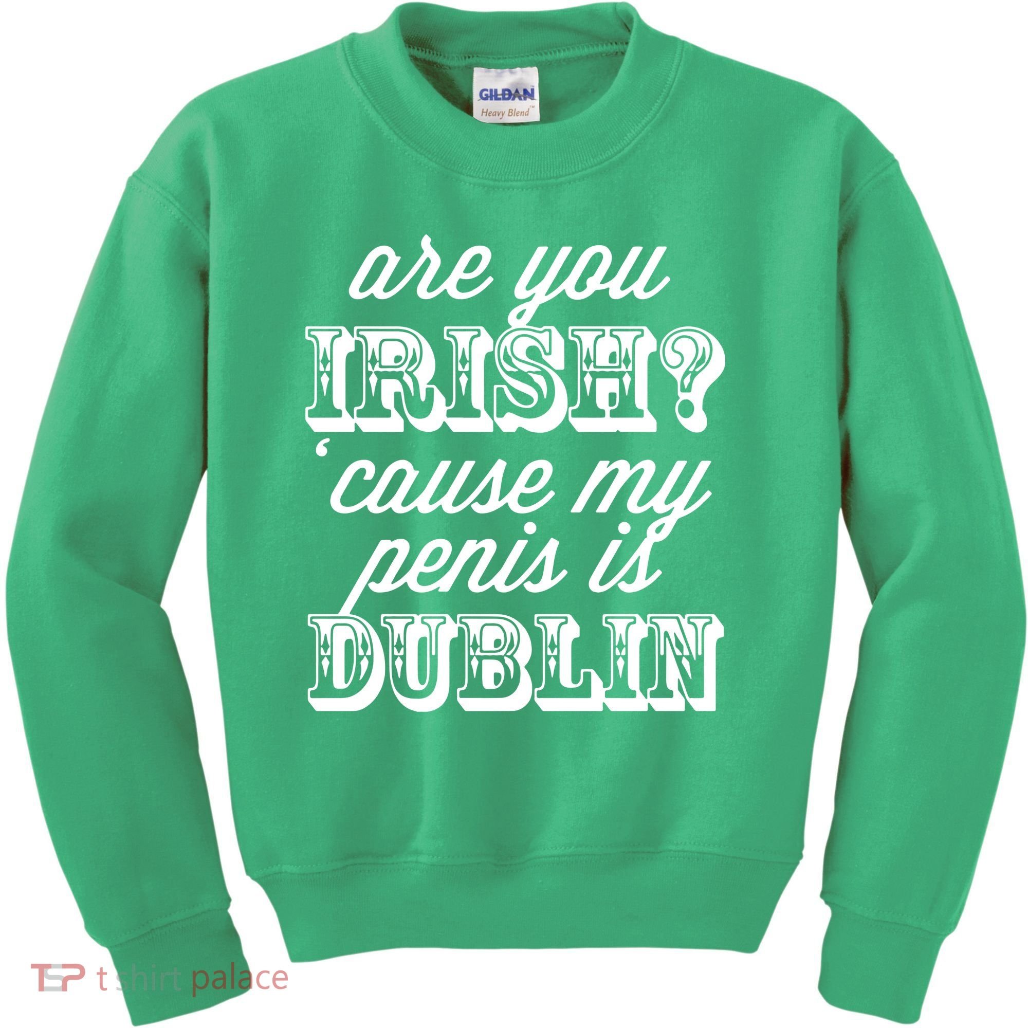 Are You Irish Kids Sweatshirt
