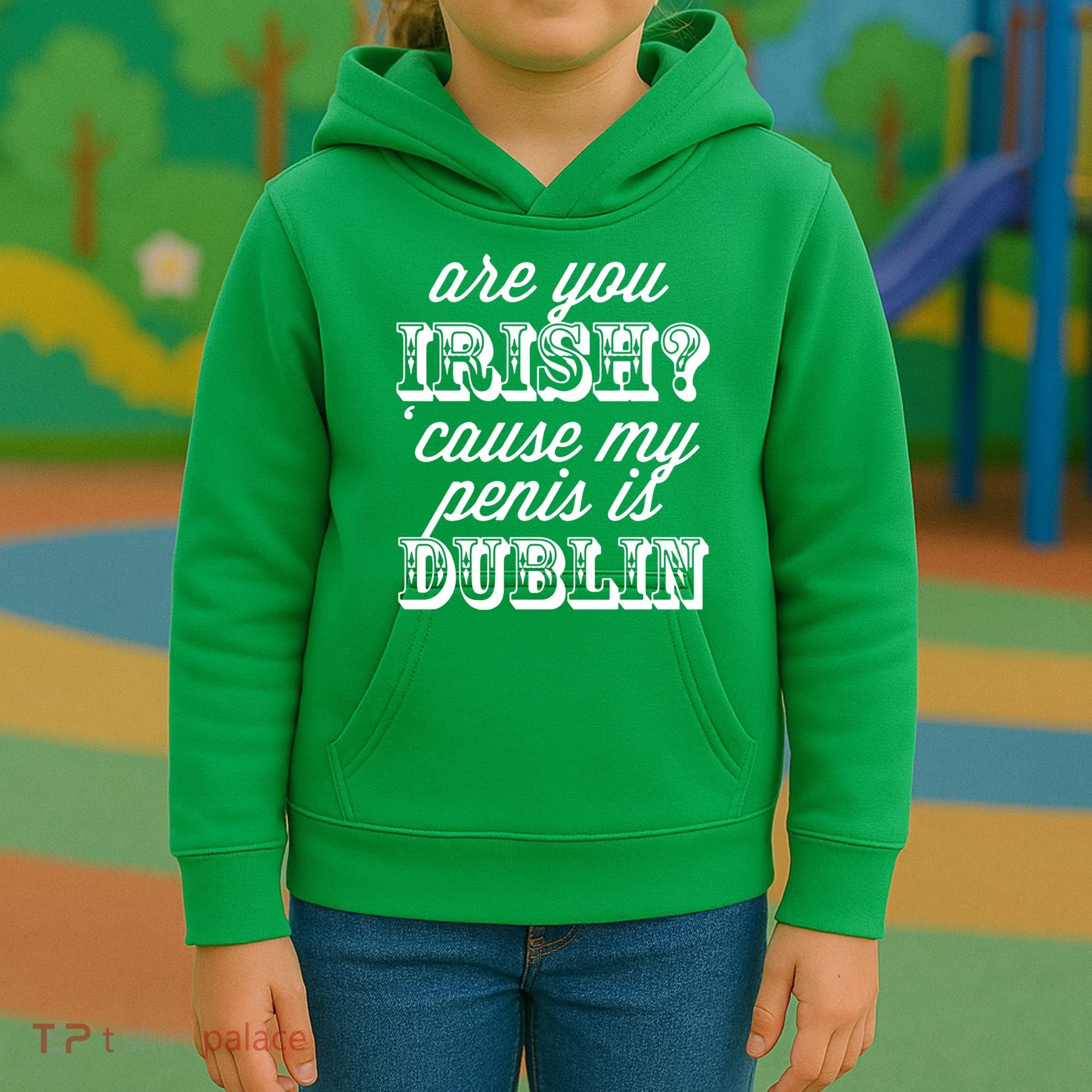 Are You Irish Kids Hoodie