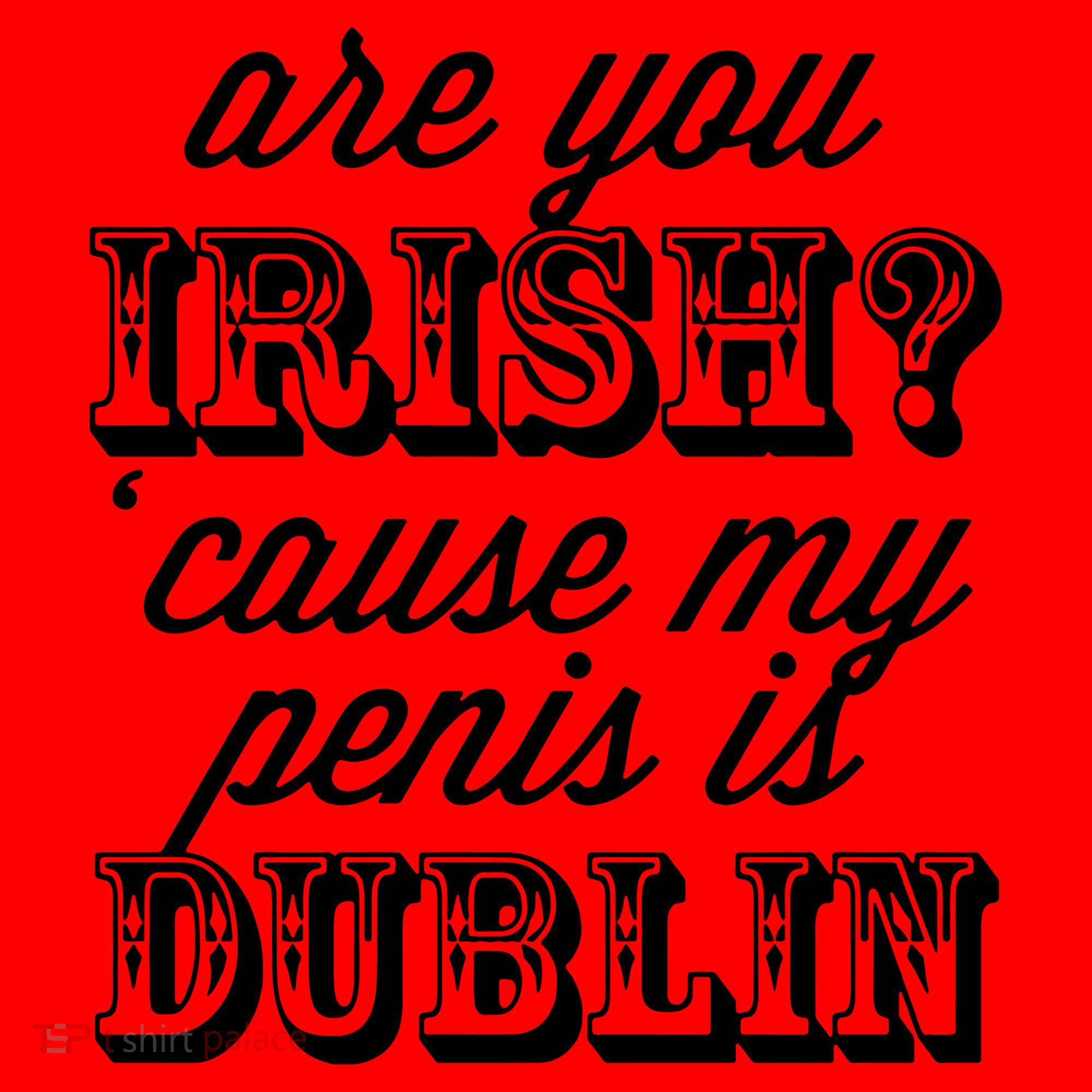 Are You Irish Santa Hat