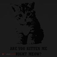 Are You Kitten Me Right Meow Tank Top thumb 6