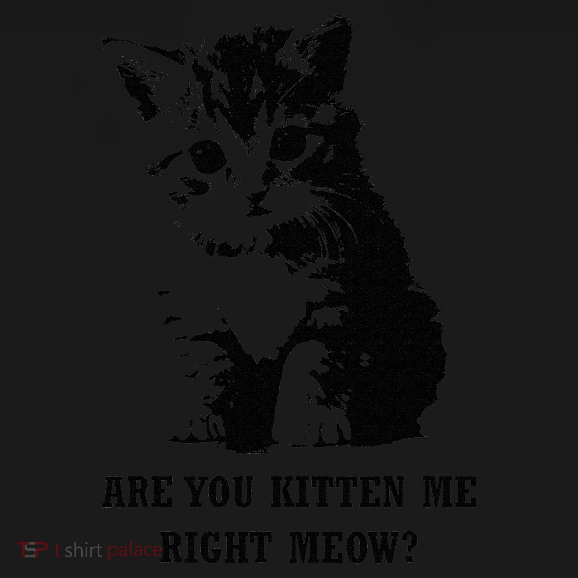 Are You Kitten Me Right Meow Tank Top