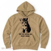 Are You Kitten Me Right Meow Hoodie thumb 0