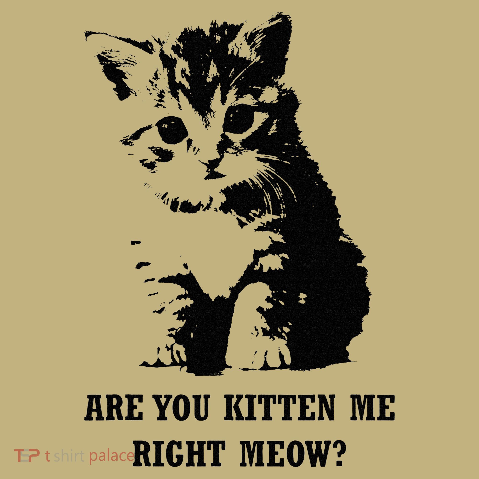 Are You Kitten Me Right Meow Long Sleeve Shirt