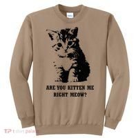 Are You Kitten Me Right Meow Sweatshirt thumb 0