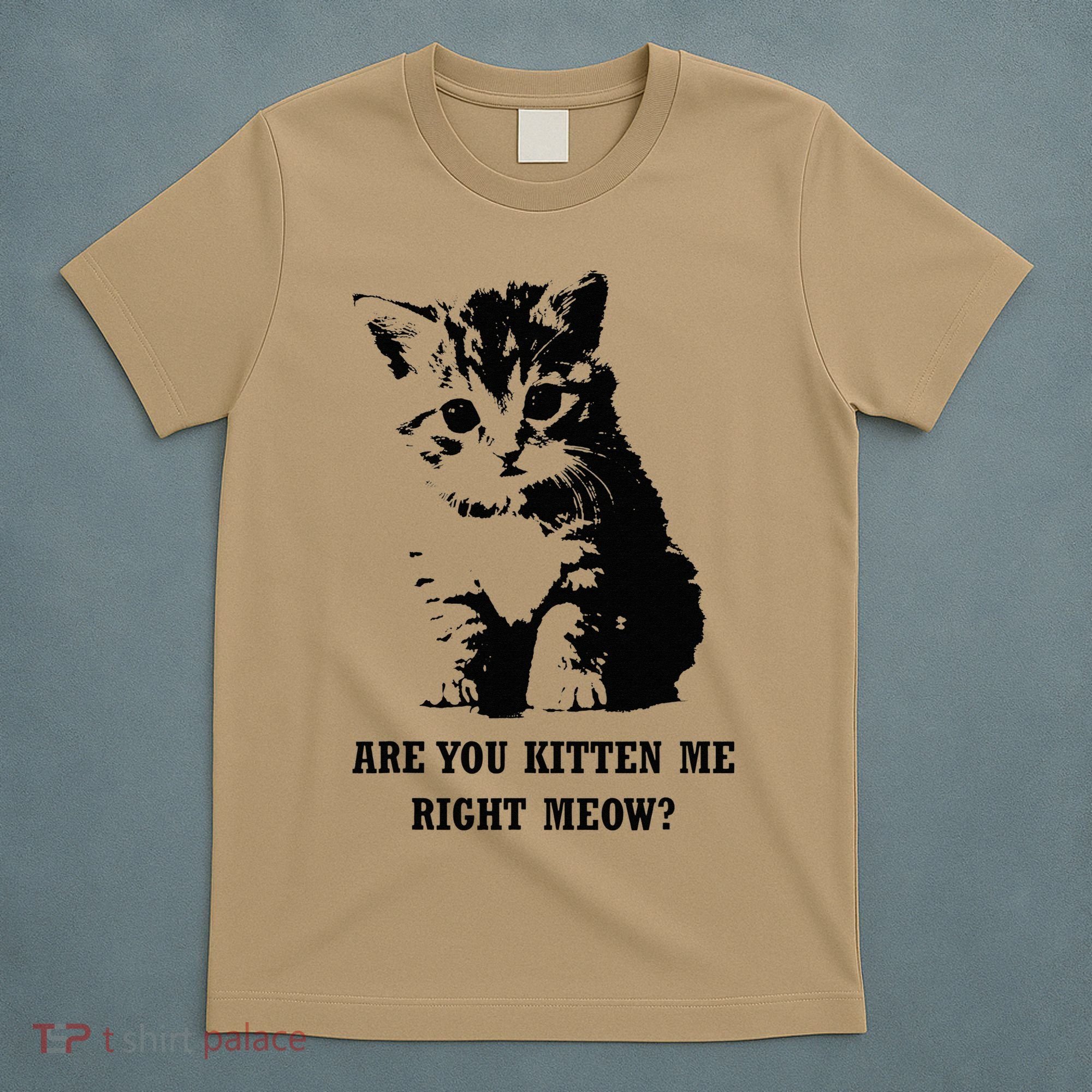 Are You Kitten Me Right Meow T-Shirt
