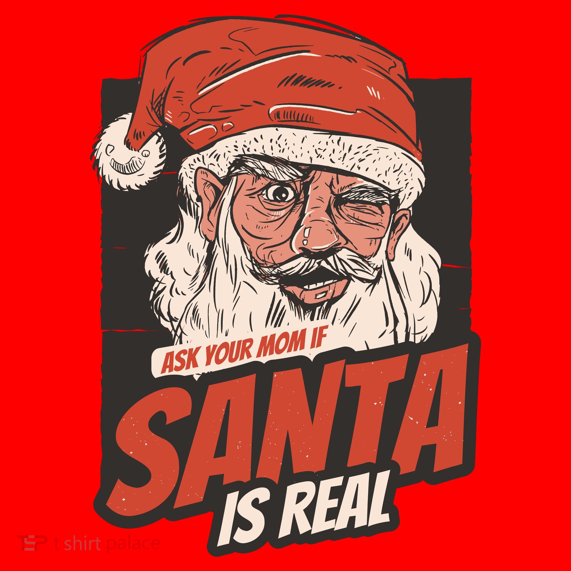 Ask Your Mom If Santa Is Real Santa Hat
